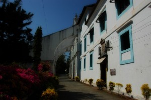 Pretty flowers and architecture