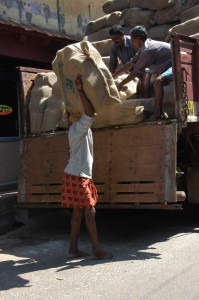 Hard work in the sun