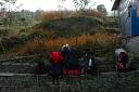 Backpacks at a resting spot