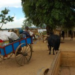 Luggage transport