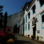 Pretty flowers and architecture