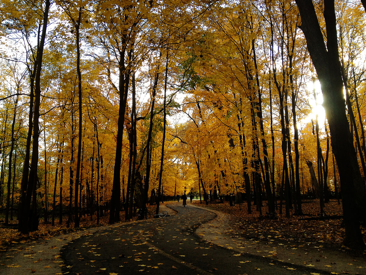 Fall Bike Trail