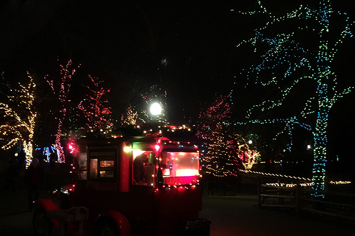 Zoo Lights vendor